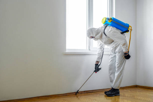 Best Affordable Pest Control Services  in Clayton, AL