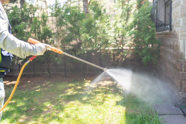 Spider Control Near Me in Clayton, AL