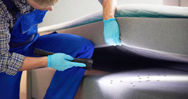 Best Termite Control Services  in Clayton, AL