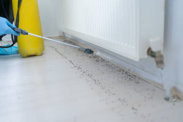Best Wildlife Control Services  in Clayton, AL